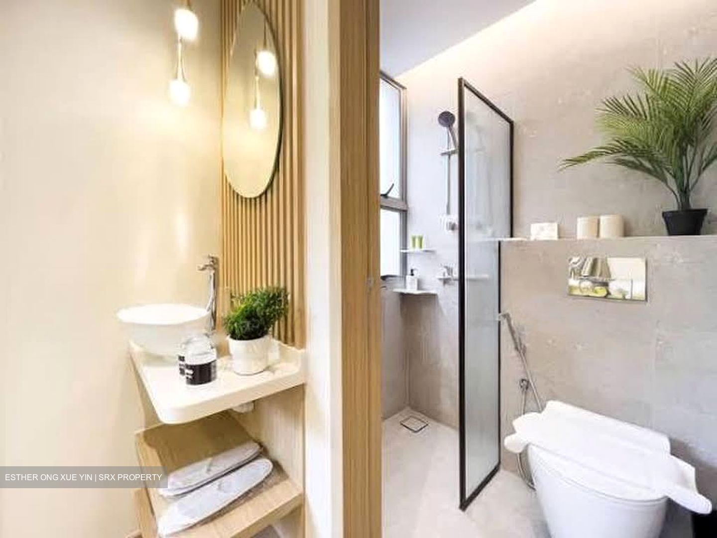 Mount Elizabeth Link (D9), Condominium #611331061